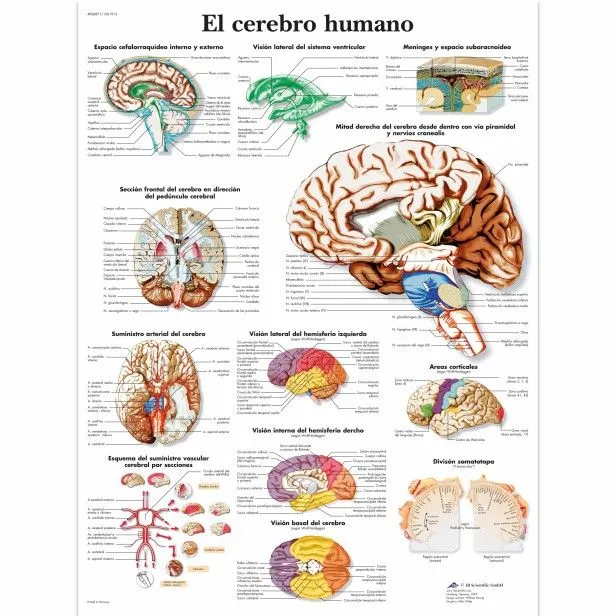 LÁMINAS EDUCATIVAS PARA EL LABORATORIO – la7demerlo