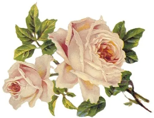 Laminas de flores para decoupage - Imagui