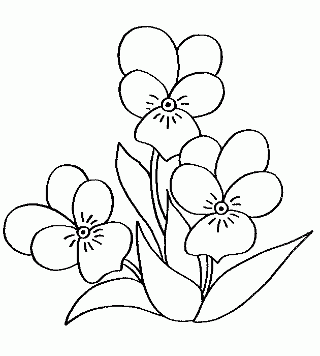 Imagenes de una flor para colorear - Imagui