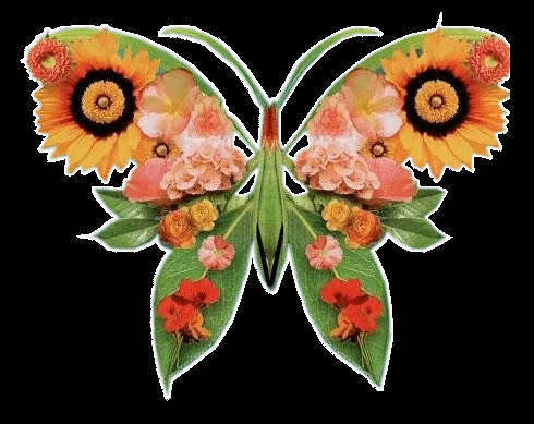 Laminas de mariposas para decoupage - Imagui