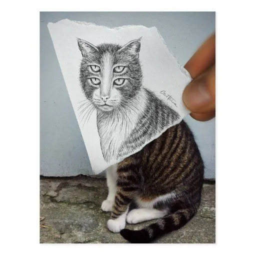 Lápiz contra la cámara - gato de 4 ojos tarjetas postales de Zazzle.