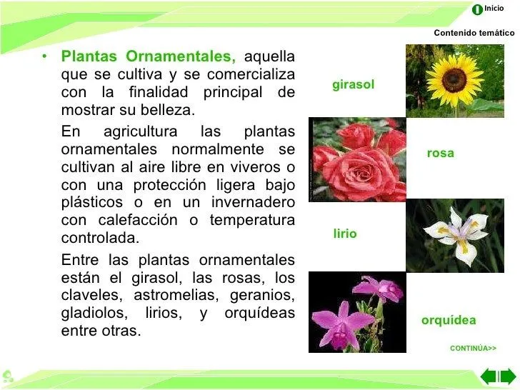 las-partes-de-la-planta-14-728 ...