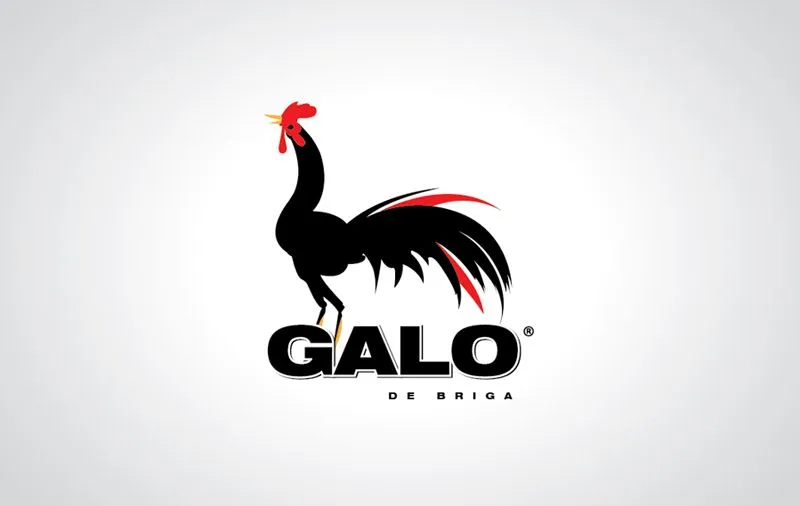 Leandro Cotes: Logo Galo de Briga