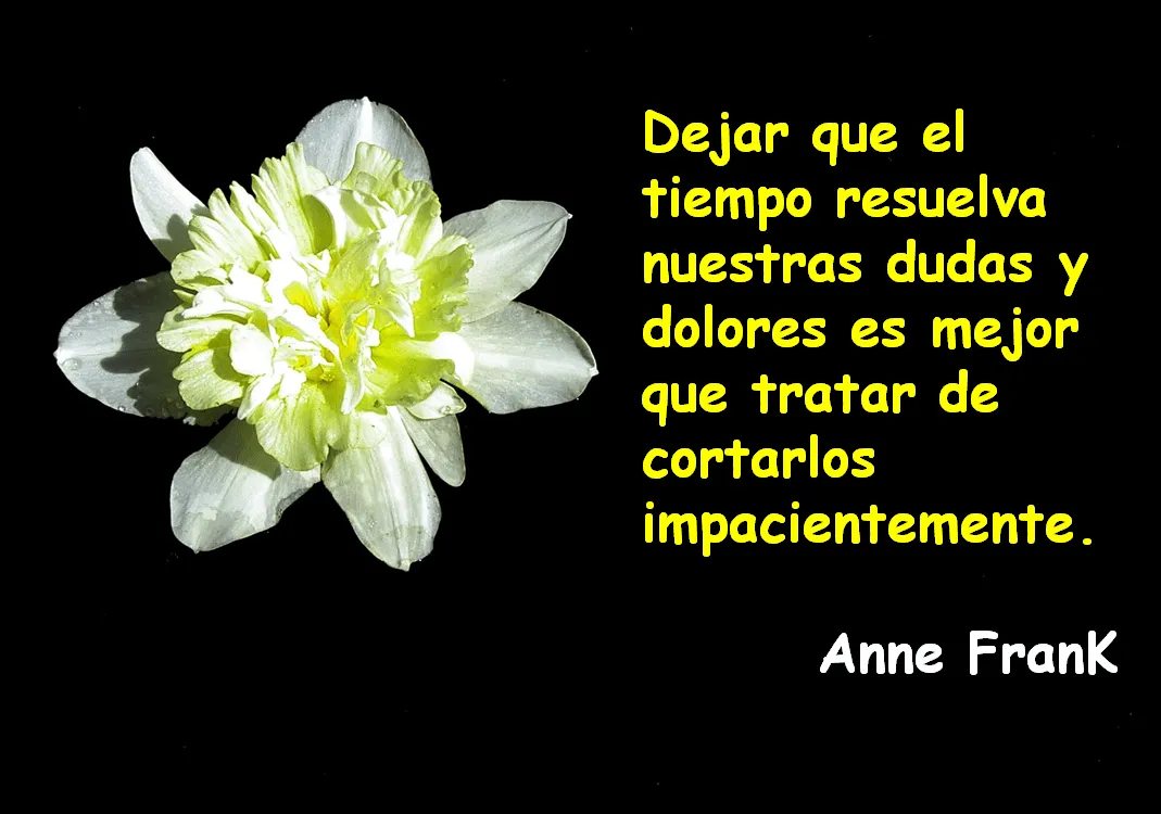 Lecciones para amar: Frase célebre sobre la paciencia de Anne Frank