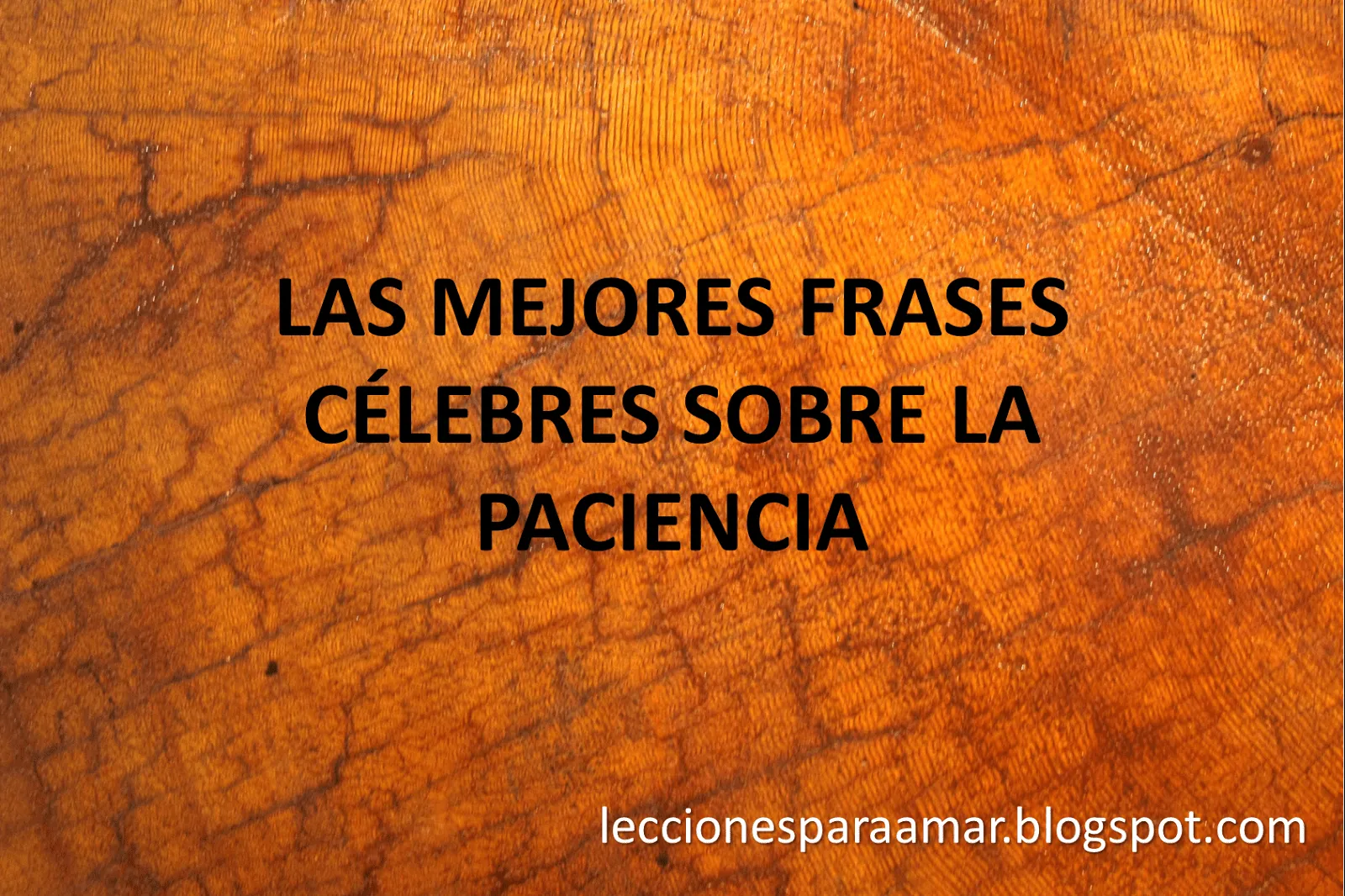 Lecciones para amar: Frases célebres sobre la paciencia