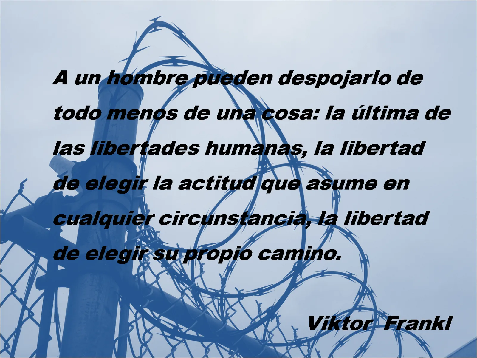 Lecciones que nos da la Vida: Frases célebres de Viktor Frankl ...