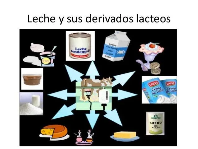 Leche y sus derivados lacteos