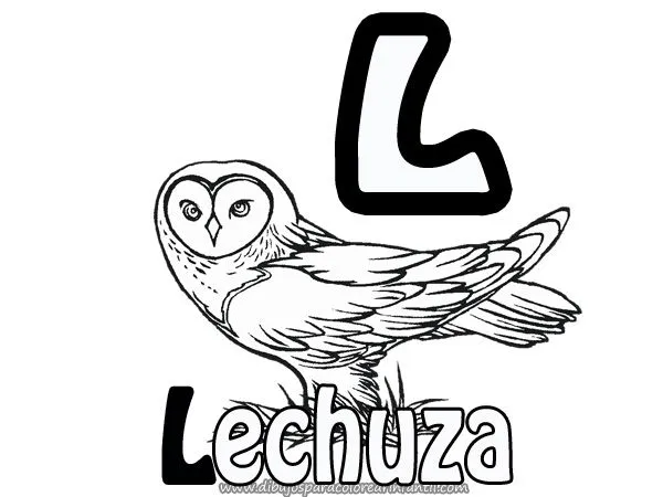 Lechuza para pintar - Imagui