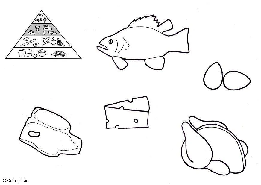 Leguminosas Y Alimentos De Origen Animal Para Colorear - Alimentos de origen ... vegetal , animal , mineral , mexicano