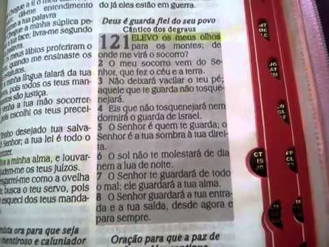 leitura diaria da biblia Salmo 121 - YouTube