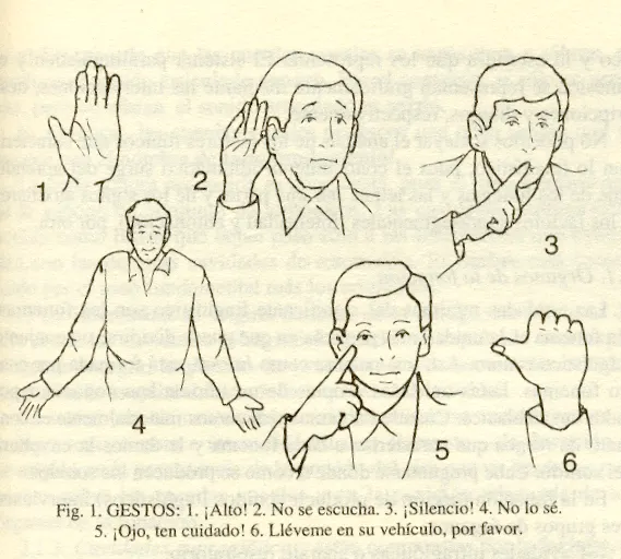 El lenguaje: Tipos de lenguaje y variaciones de la lengua ...