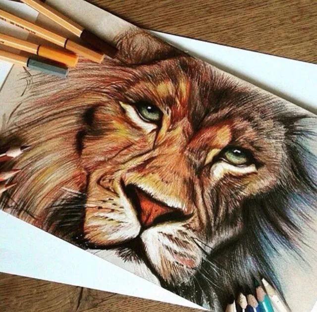 ☼Leon☼☼ | Arte de lápices de color, Leon a lapiz, Dibujos de animales  realistas