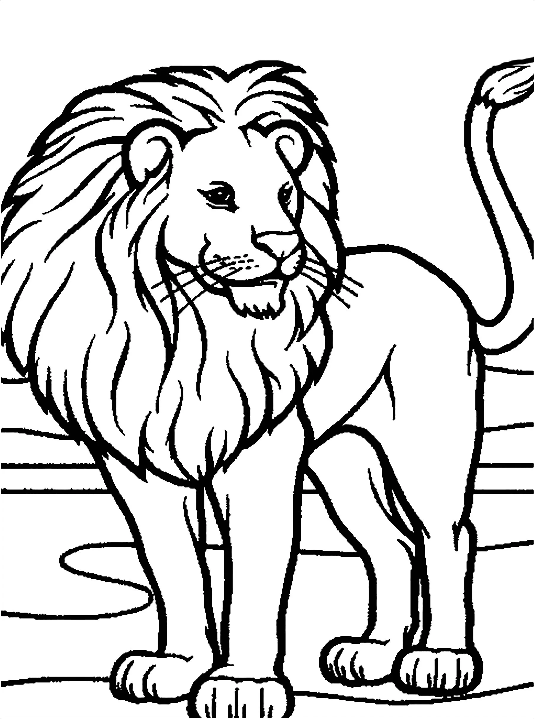 León - León - Just Color Niños : Dibujos para colorear para niños