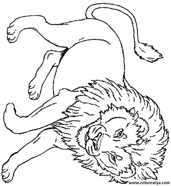 Dibujos para colorear y pintar para los niños