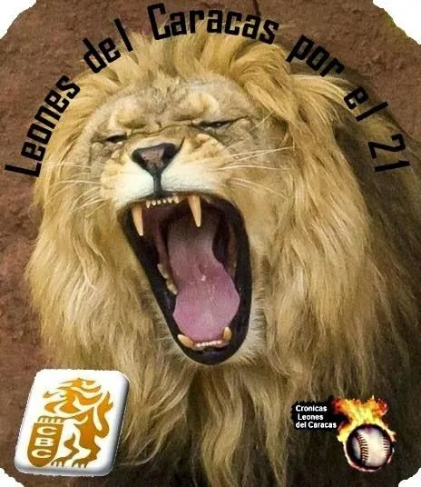 Leones del Caracas Hoy Comienza Pretemporada por el 21 - Cronicas ...