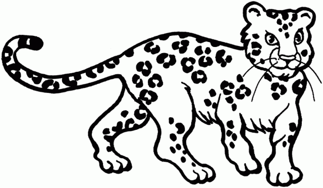 Leopard - Free Printable Coloring Pages