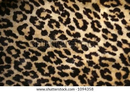 Leopard Print Stock Photo 1094358 : Shutterstock