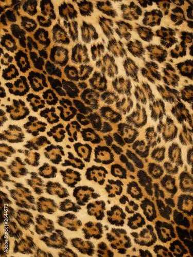 leopard print © sumnersgraphicsinc #2644573 - Ver portfolio