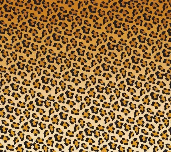 Leopard print vector graphic Free vector for free download (about ...