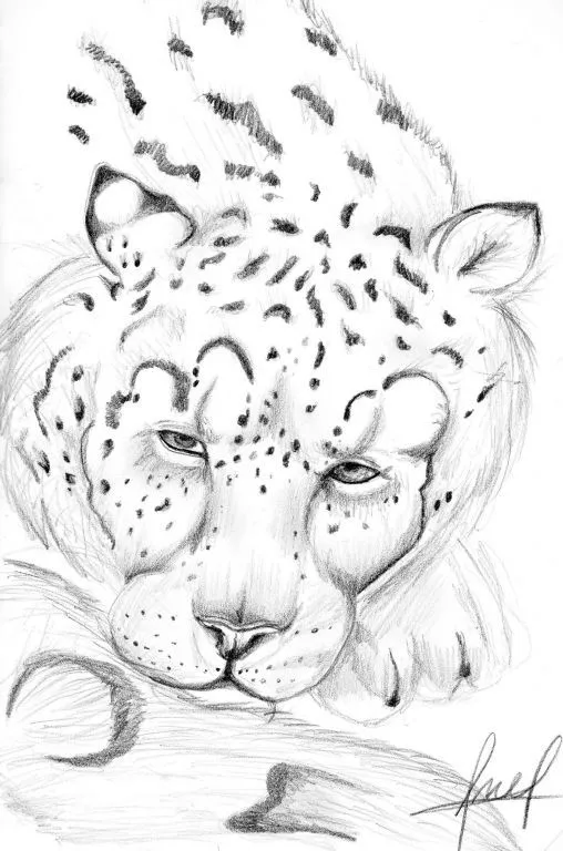 leopardo andrea plaza - Artelista.