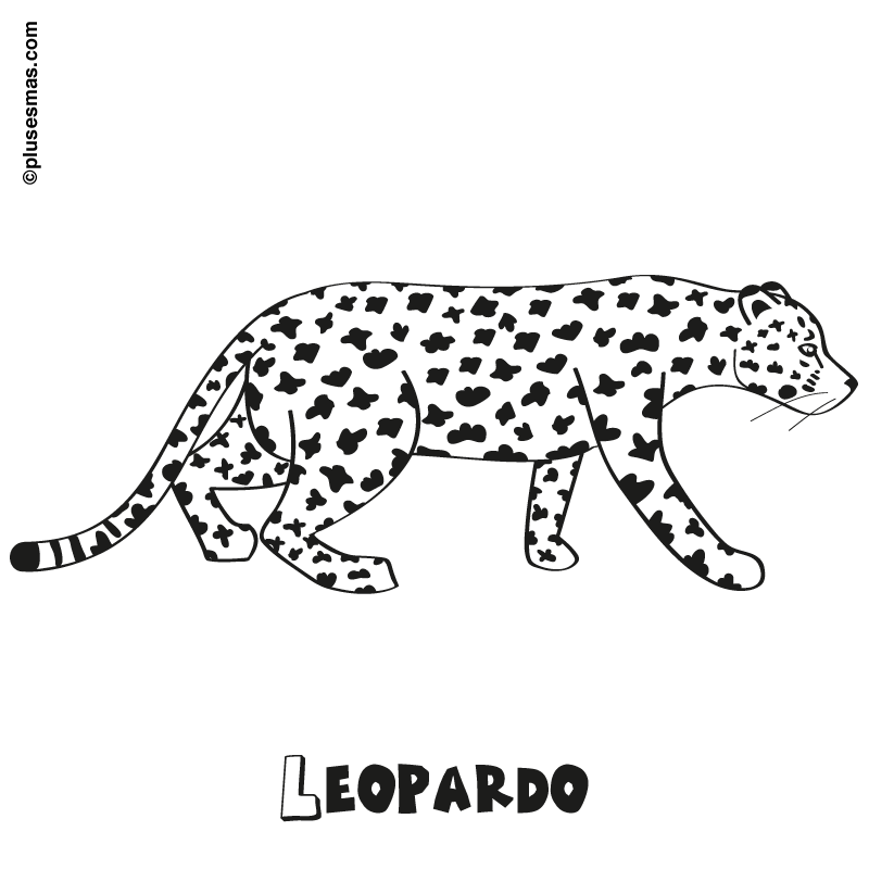 Leopardo para colorear. Colorear con niños. Ocio en casa ...