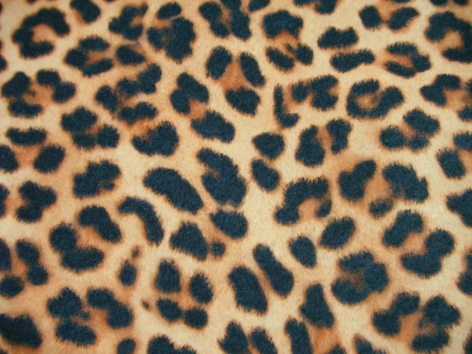 Leopardo estampado - Imagui