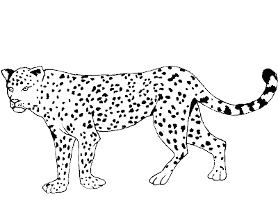 LEOPARDO PARA PINTAR - Imagui