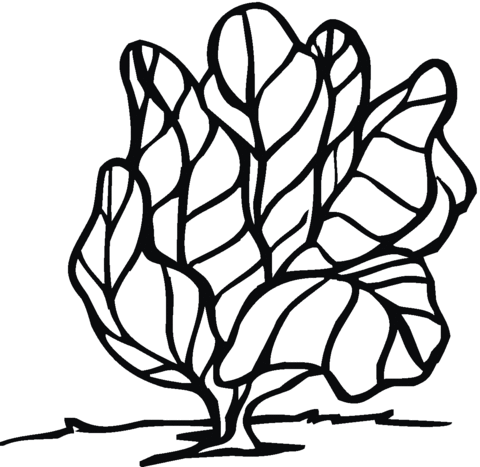 Lettuce 10 Coloring page | Free Printable Coloring Pages