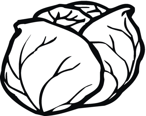 Lettuce 13 Coloring page | Free Printable Coloring Pages