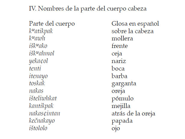 El léxico de las partes del cuerpo en el mexicano de la sierra ...