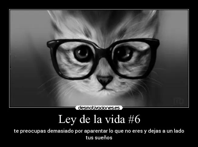 Ley de la vida #6 | Desmotivaciones