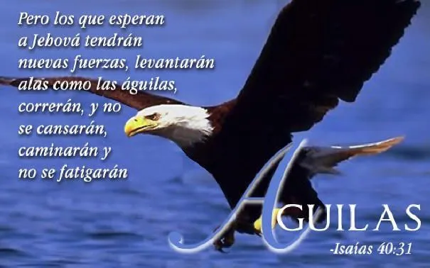 LIBEREMOS LAS AGUILAS PROFETICAS | Las Cartas de Magie