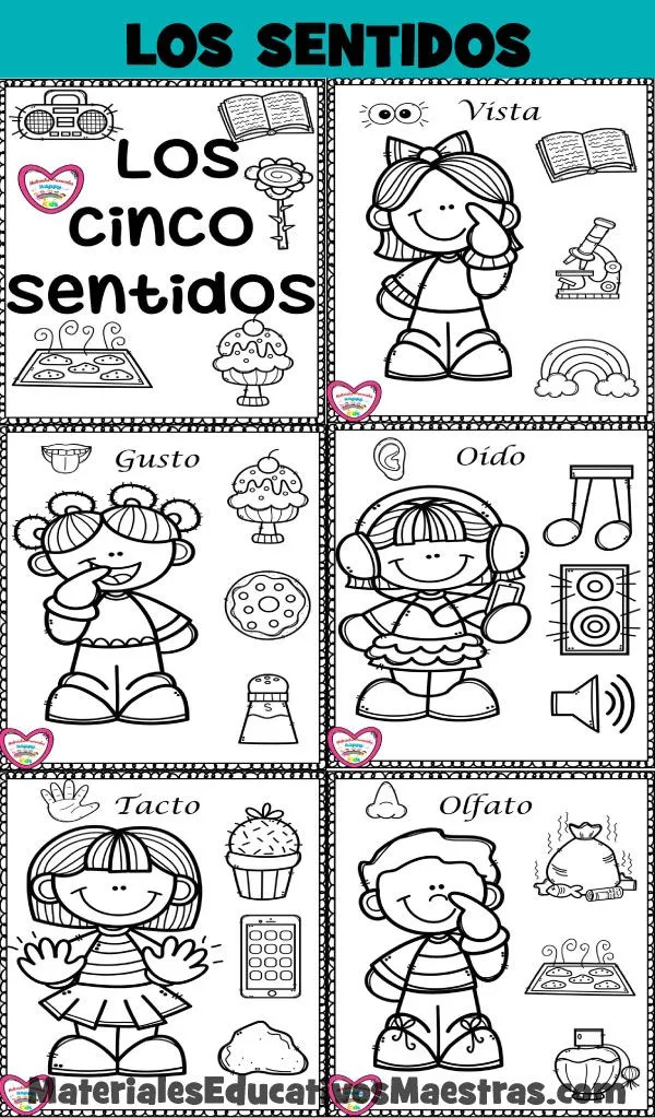 Mi Librito de los 5 Sentidos | Materiales Educativos para Maestras