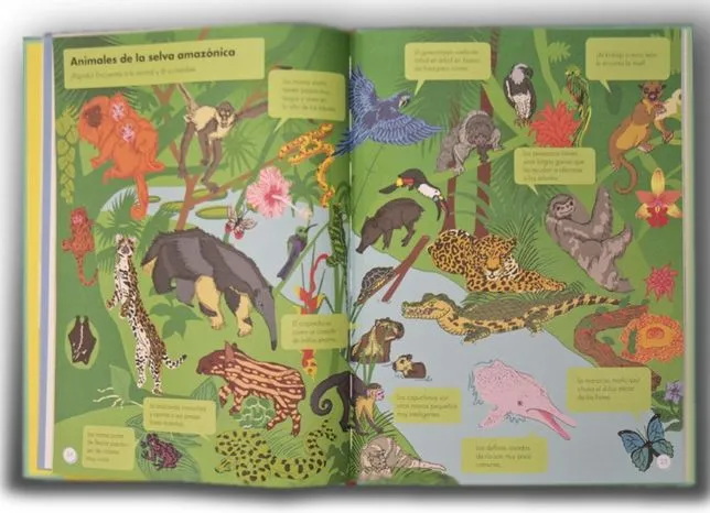 Mi libro de animales, de Blume - Diario de Ávila