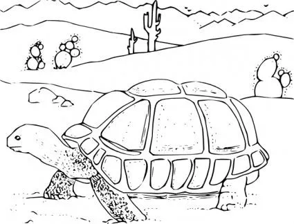 Libro Para Colorear Prediseñadas De La Tortuga Del Desierto-Vector ...