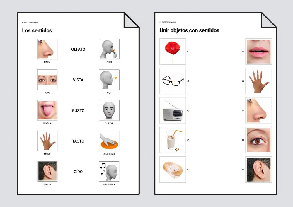 Libro de comunicación. Los cinco sentidos: Vocabulario #Soyvisual