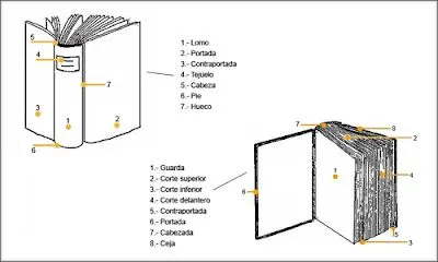 El Libro y sus Partes