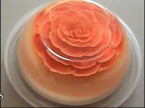 Libro de Recetas | Recetas Destacadas