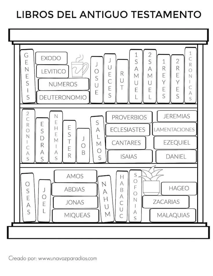 Libros del Antiguo Testamento Hoja para Colorear Coloring - Etsy España en  2023 | Libros del antiguo testamento, Libros historicos, Testamento