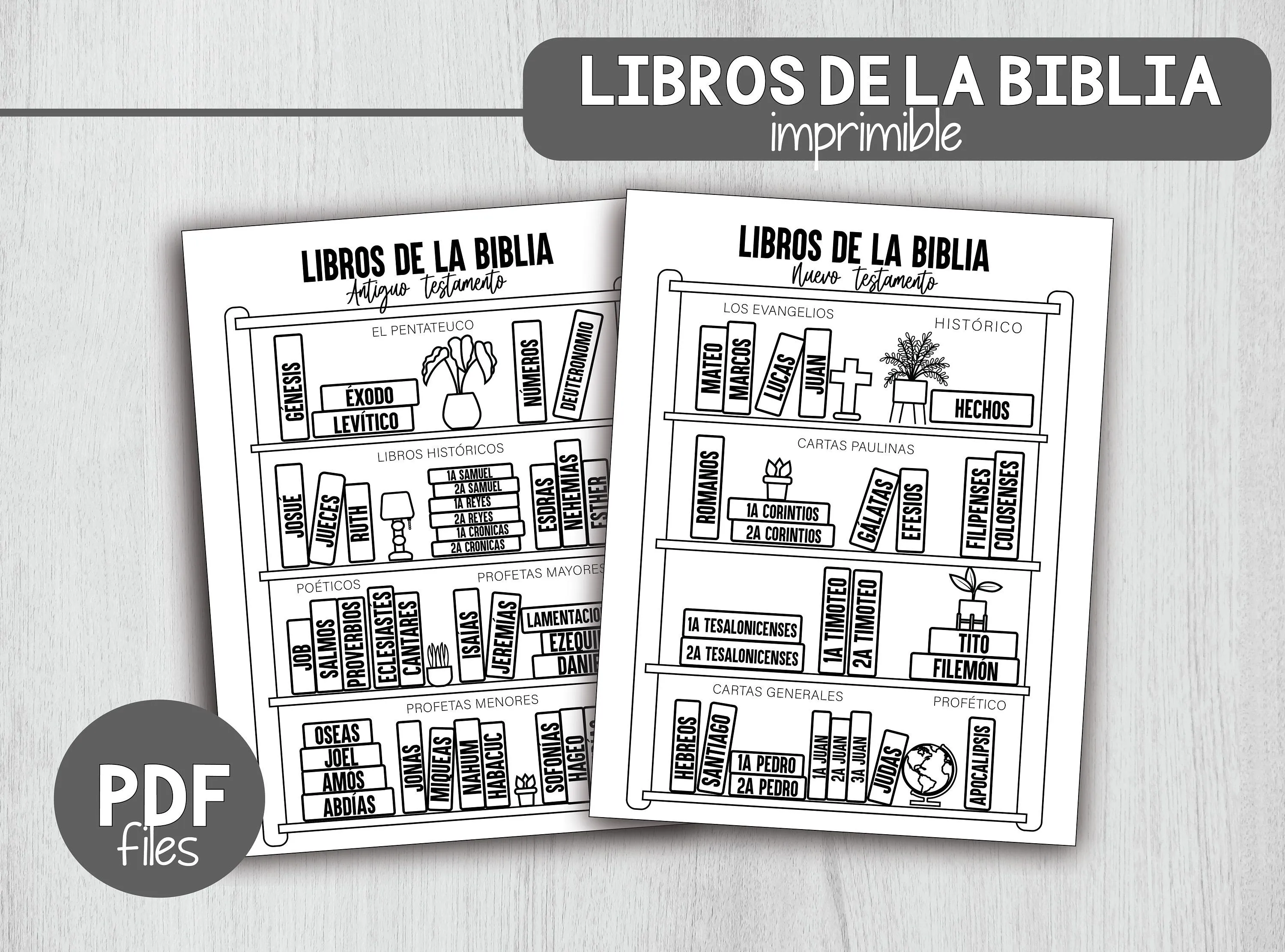 Libros de la Biblia checklist lectura de la biblia actividad - Etsy España