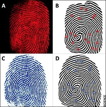 Licenciatura en Ciencias Penales: ¿Qué es el análisis de huellas ...