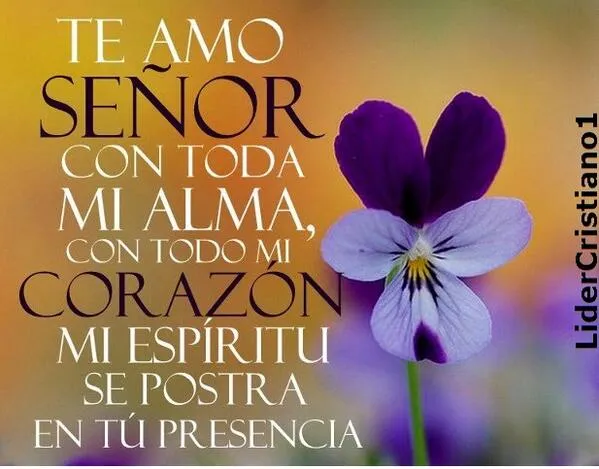 Lider Cristiano 1 on Twitter: "►Te Amo Señor con toda mi alma ...