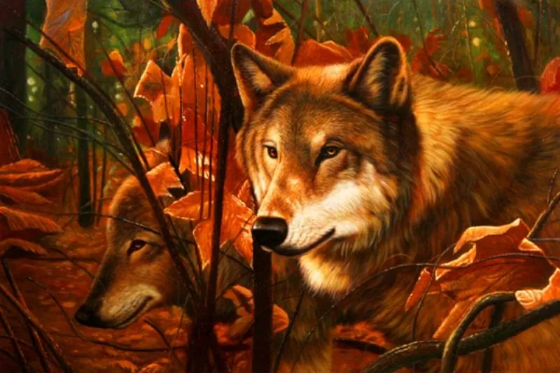  ... sobre lienzo pintura realista pintura de lobos oleo paisajes con lobos