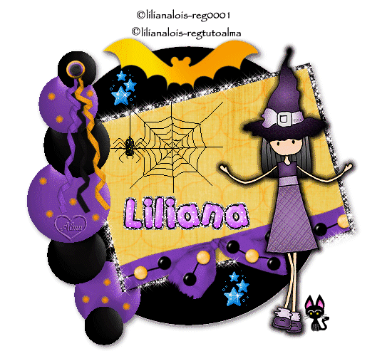 Liliana Lois Diseños: septiembre 2008