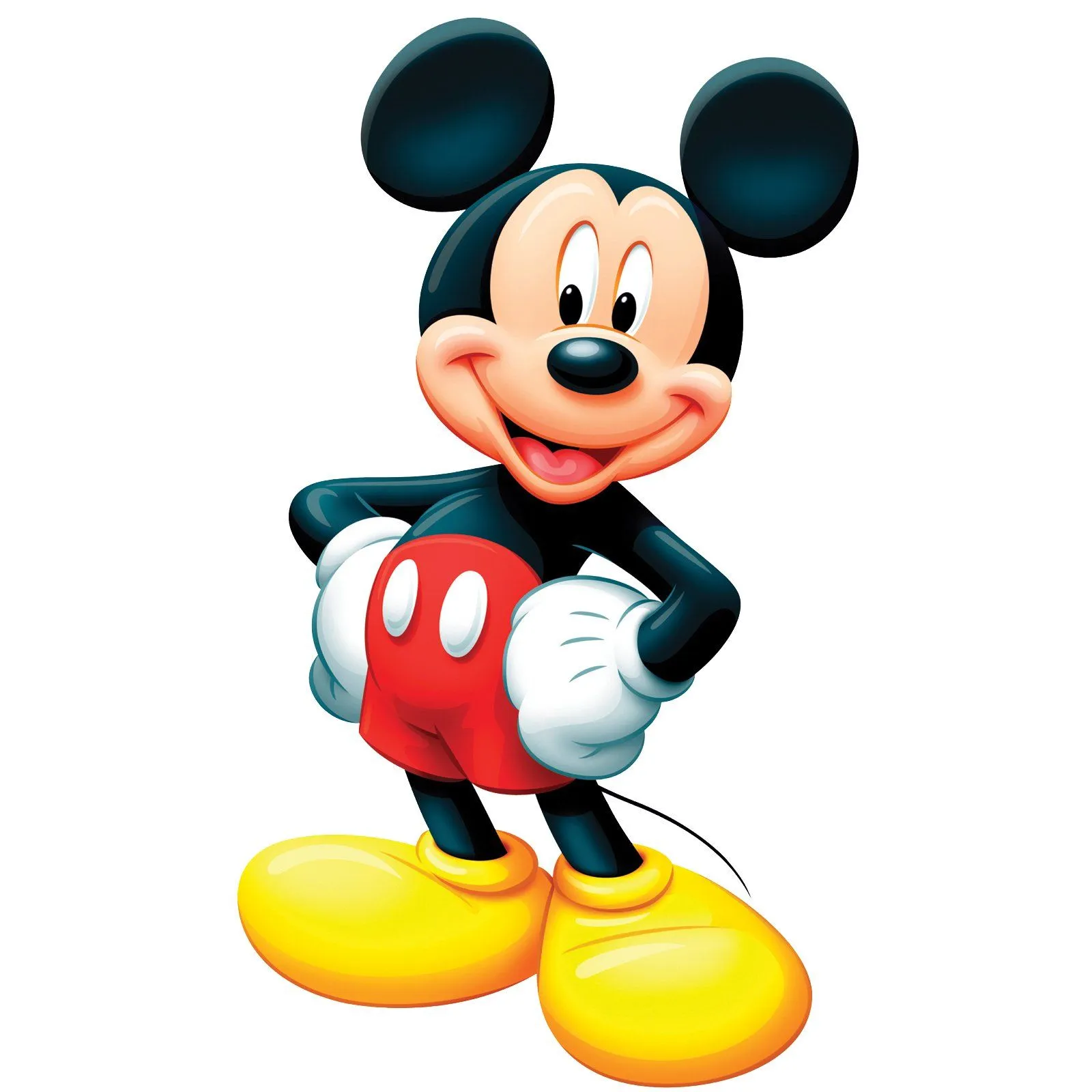 Lim Kaa Kaa: PS - Exercise 1:Mandarin Duck and Mickey Mouse