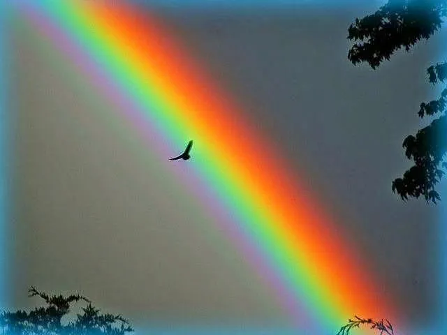 HACIA LOS LIMITES DEL TIEMPO: EL ABRAZO DEL ARCO IRIS...