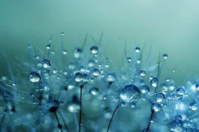 HACIA LOS LIMITES DEL TIEMPO: GOTAS DE LLUVIA