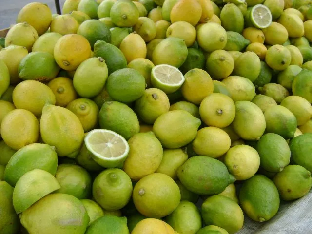 Limones — Comprar Limones, Precio de , Fotos de Limones, de Frumag ...