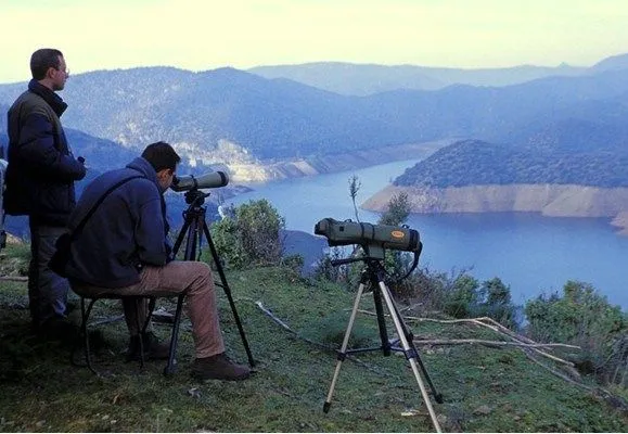 Ver Lince ibérico. (Respeto y cuidado). - SIERRA DE ANDÚJAR