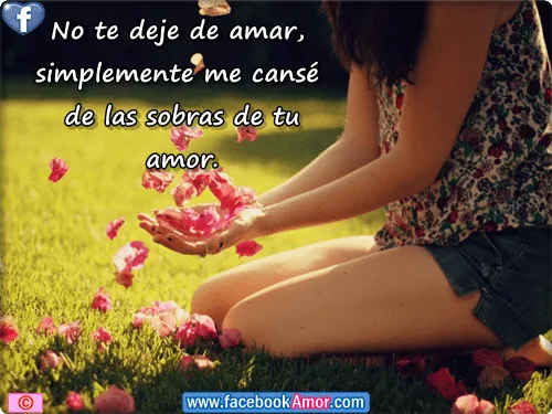 Lindas frases de amor para facebook Imagenes Bonitas para Facebook ...